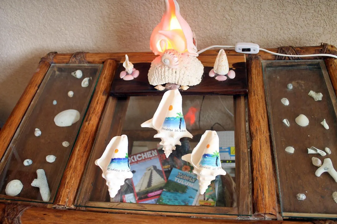 Casa Cotorro Best Tulum Adventures Holiday home